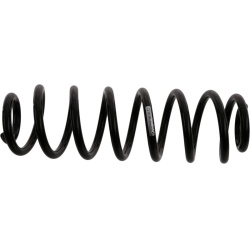 spyruoklė  spyruoklė