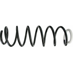 spyruoklė  spyruoklė