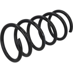 spyruoklė  spyruoklė