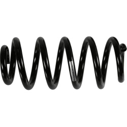 spyruoklė  spyruoklė