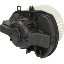 vidaus pūtiklis  vidaus pūtiklis