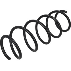 spyruoklė  spyruoklė