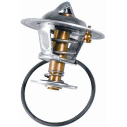  termostatas, aušinimo skystis