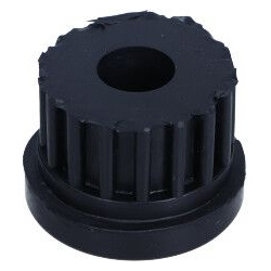  įvorė, lakštinė lingė