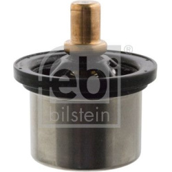  termostatas, aušinimo skystis