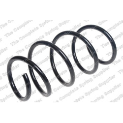 spyruoklė  spyruoklė