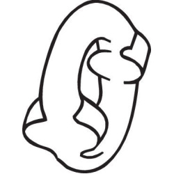  laikiklis, išmetimo sistema