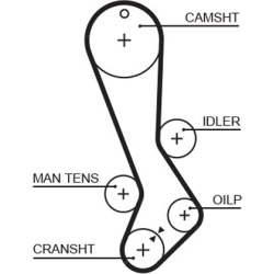  paskirstymo diržas <small>PowerGrip™</small>