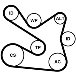  V formos rumbuotas diržas, komplektas