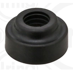  sandarinimo žiedas, cilindro galvos dangtelio varžtas