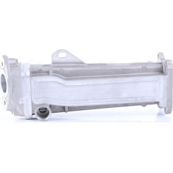  aušintuvas, išmetamųjų dujų recirkuliacija <small>** FIRST FIT **</small>