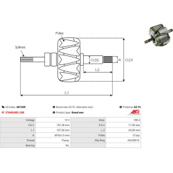  rotorius, kintamosios srovės generatorius <small>AS</small>