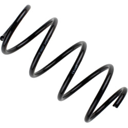  spyruoklė <small>BILSTEIN - B3 OE Replacement</small>