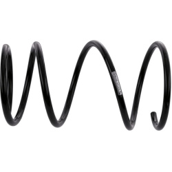 spyruoklė  spyruoklė