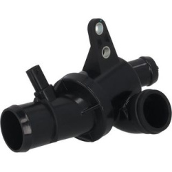  termostatas, aušinimo skystis