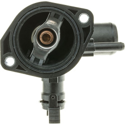  termostatas, aušinimo skystis