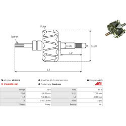  rotorius, kintamosios srovės generatorius <small>AS</small>