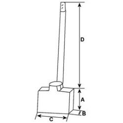  anglies šepetėlis, starteris