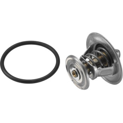  termostatas, aušinimo skystis