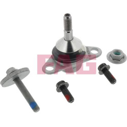  Šarnyras / girgždukas