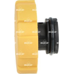  dangtelis, radiatorius