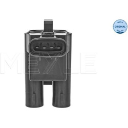  ritė, uždegimas <small>MEYLE-ORIGINAL: True to OE.</small>