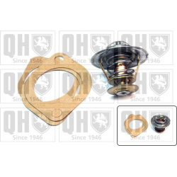  termostatas, aušinimo skystis