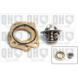  termostatas, aušinimo skystis