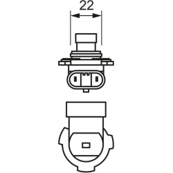  lemputė, priekinis žibintas <small>Longlife Daytime WS</small>