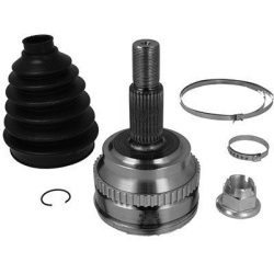 pusašio šarnyras  pusašio šarnyras