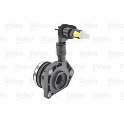  centrinis darbinis cilindras, sankaba