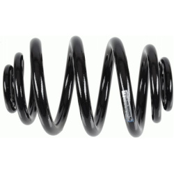 spyruoklė  spyruoklė