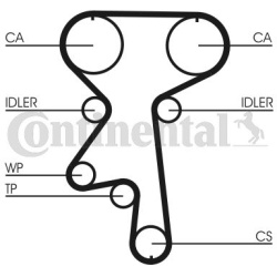  vandens siurblio ir paskirstymo diržo komplektas