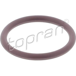  Sandarinimo žiedas, šaltnešio linija