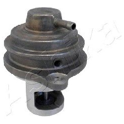 ERG vožtuvas  ERG vožtuvas