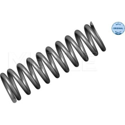 spyruoklė  spyruoklė