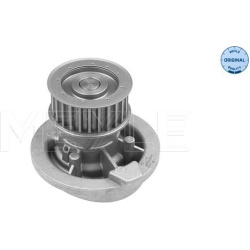  Vandens siurblys, variklio aušinimas