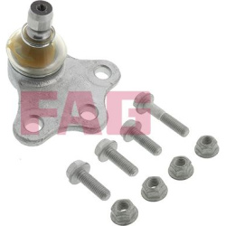 Šarnyras / girgždukas  Šarnyras / girgždukas