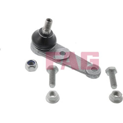  Šarnyras / girgždukas