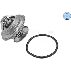  termostatas, aušinimo skystis