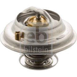  termostatas, aušinimo skystis