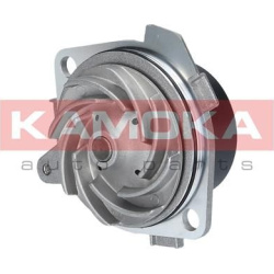  Vandens siurblys, variklio aušinimas