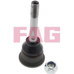  Šarnyras / girgždukas