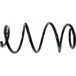 spyruoklė  spyruoklė