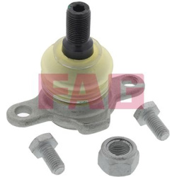  Šarnyras / girgždukas