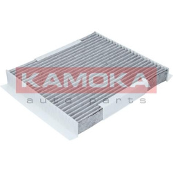  filtras, salono oras