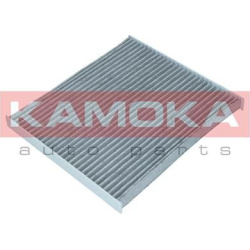  filtras, salono oras