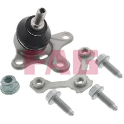  Šarnyras / girgždukas