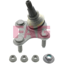  Šarnyras / girgždukas