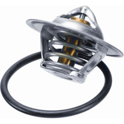  termostatas, aušinimo skystis